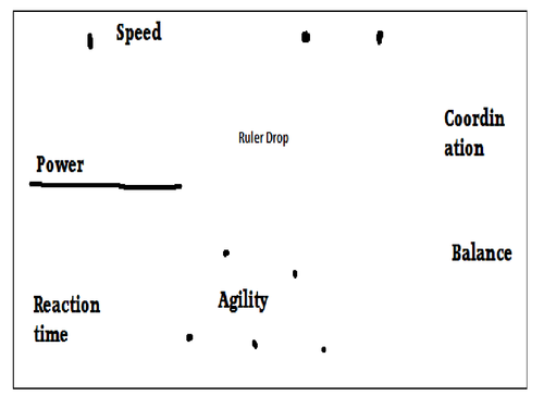 Skill related fitness testing circuit