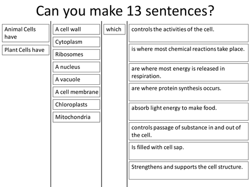 Plant and Animal Cell sentences | Teaching Resources
