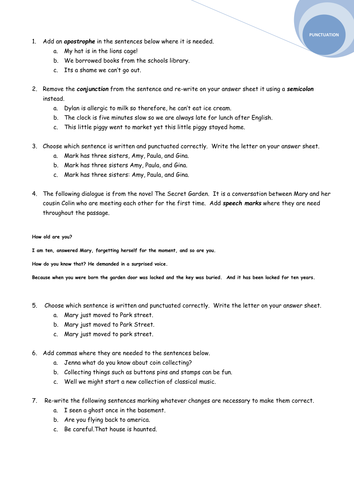 grammar and punctuation worksheet test teaching resources