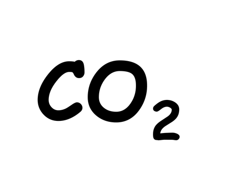 Light independent reaction