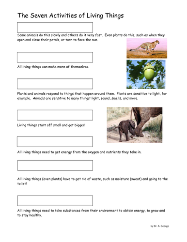 Seven Characteristics of Living Things WS KS3 | Teaching Resources