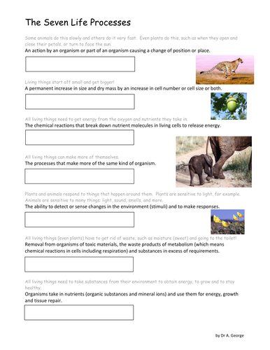 Seven Life Processes worksheet KS4 | Teaching Resources