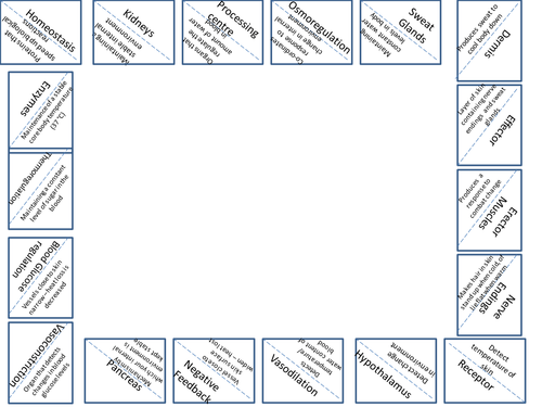 Homeostasis Card Sort (Loop Frame)