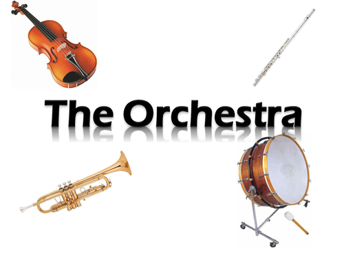 The Orchestra Strings