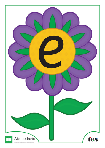 La Letra E - Tema Flor
