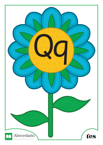 La Letra Q - Tema Flor