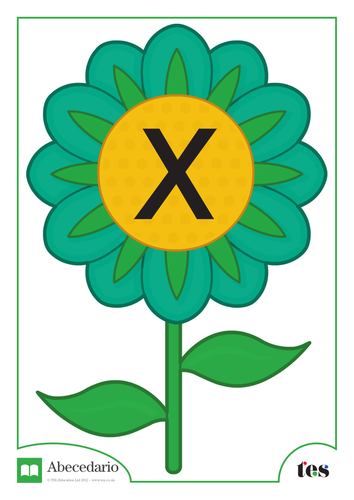 La Letra X - Tema Flor