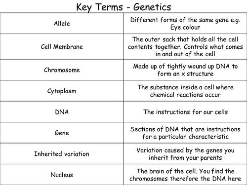 Variation (B1 edexcel)