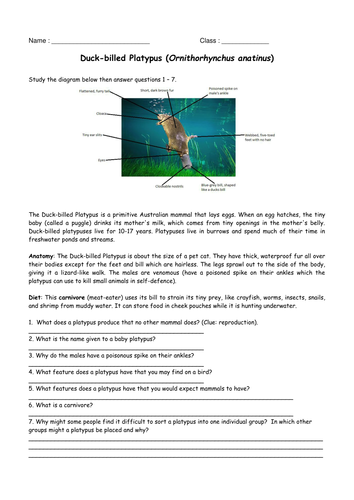 Vertebrates and Invertebrates (B1 edexcel)