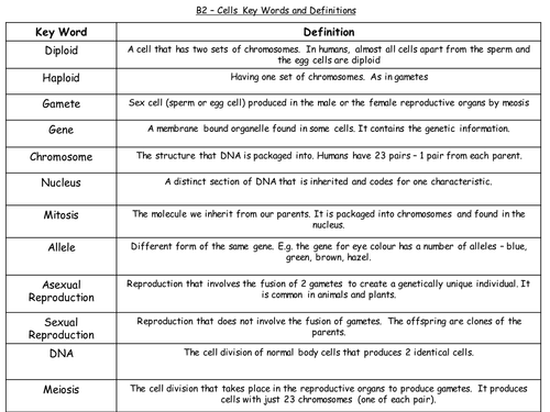Printables Comparing Mitosis And Meiosis Worksheet Answers Biology comparing mitosis and meiosis worksheet versaldobip versaldobip