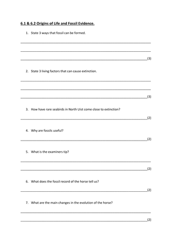 Fossil worksheet answers record the Lesson Stories