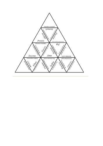 food and digestion revision puzzle teaching resources