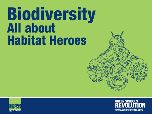Habitat Heroes assembly powerpoint