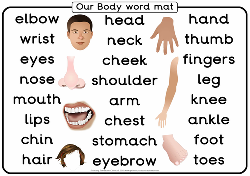 Our Body - Word Mat