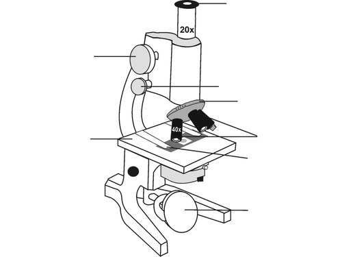 Basic Microscope Parts Slideshow | Teaching Resources