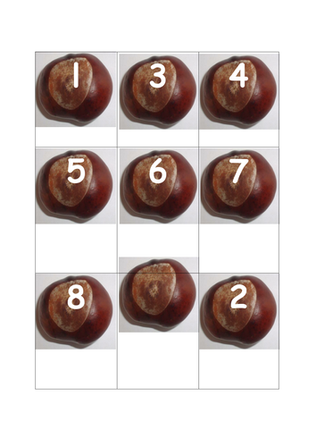 conker number cards