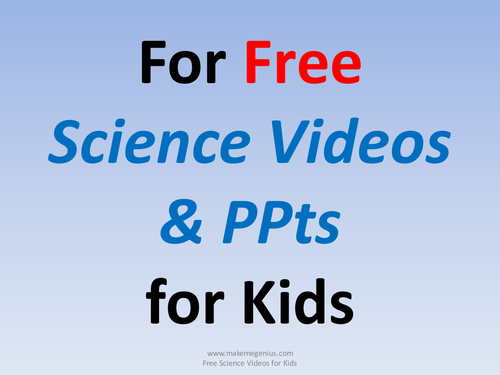 Penguins- 21 Interesting Facts