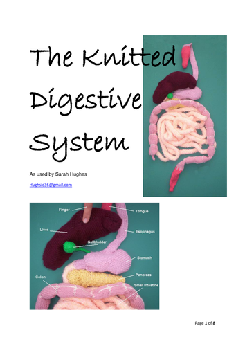 Tactile models of the digestive system