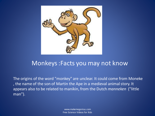 Monkeys Facts