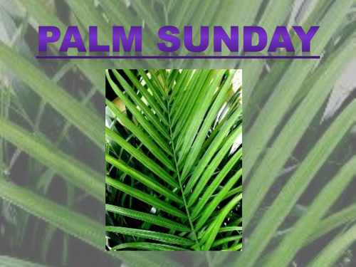 Christianity - Palm Sunday KS3 2012.pptx