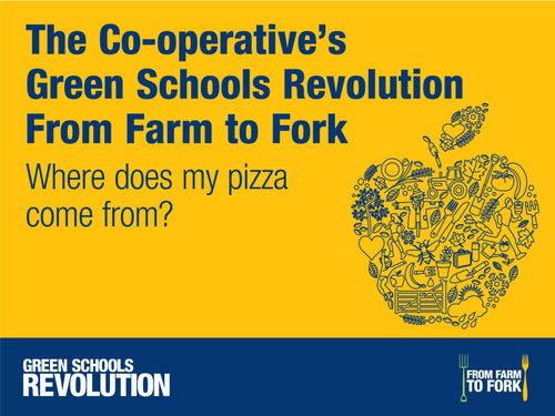 Where does my pizza come from?