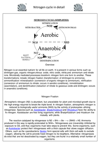 Nitrogen cycle bacteria information sheet