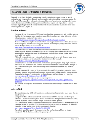 Ib one world essay genetic 04 image