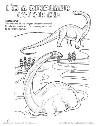 dinosaur colouring pages teaching resources