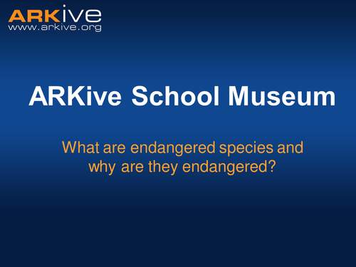ARKive School Museum (5-11)