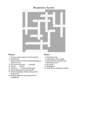 Respiratory system crossword puzzle