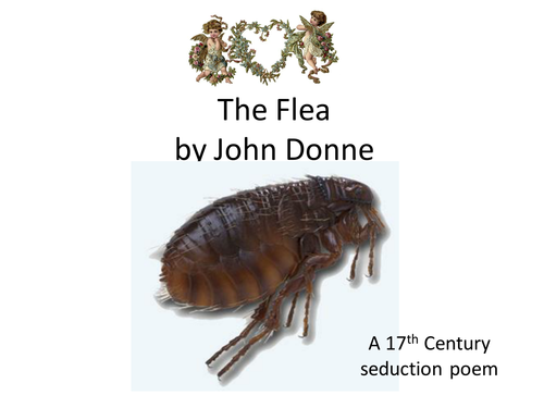 The Flea Poem Analysis | Teaching Resources