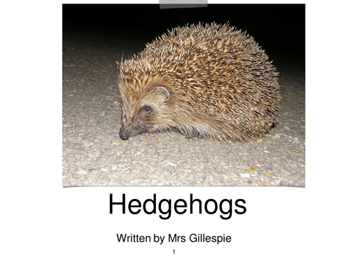 Hedgehogs information powerpoint