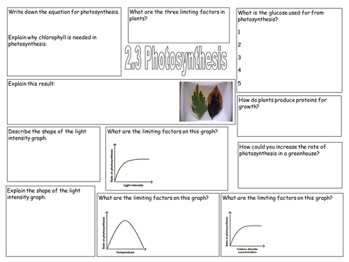 NEW AQA B2.3 Plants and photosynthesis revision