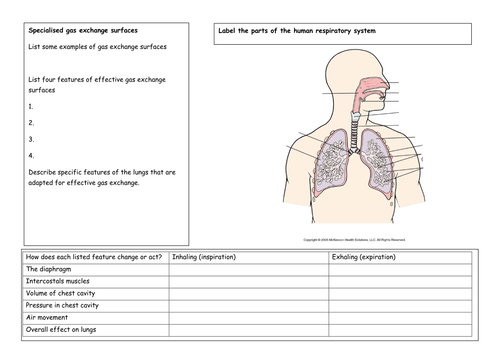 Exchange and breathing revision worksheets by solefish - Teaching