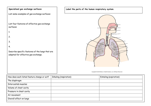 Exchange and breathing revision worksheets