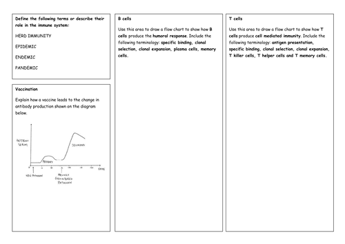 Immune response revision summary worksheets