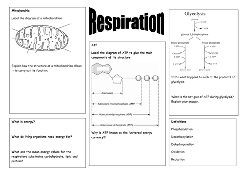 Respiration revision summary by solefish - Teaching Resources - Tes