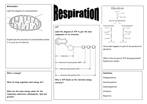 Respiration revision summary