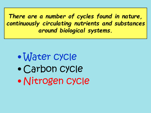 Carbon Cycle Powerpoint