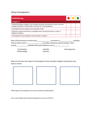 IGCSE revision sheet on micro-organisms