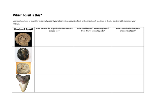 Identifying fossils