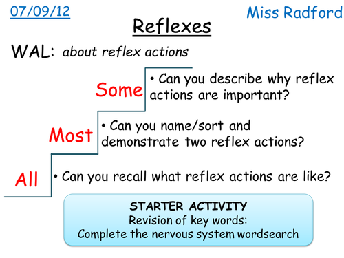 B1.1 Reflexes and Nervous system SEN
