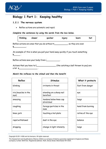 B1.1 Worksheet pack for SEN