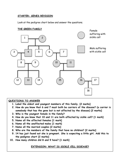 pedigree chart questions example Pedigree chart Teaching by worksheet JHinksman Resources pedigree chart questions example Pedigree chart Teaching by worksheet JHinksman Resources