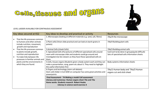 year 7 condensed science overview