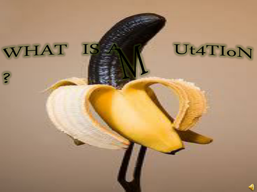 A ppt made  by my students