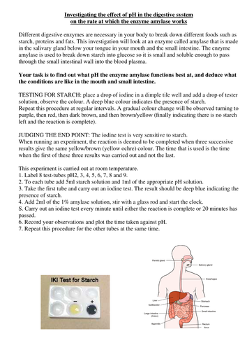 How does pH affect the rate of the enzyme amylase