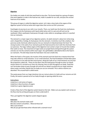 Digestive system DART text to flow chart