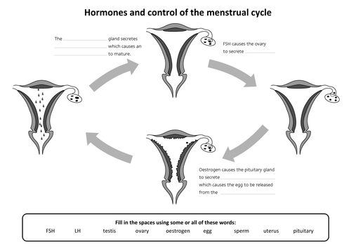B1.1 Hormones & Menstrual cycle - AQA Core science