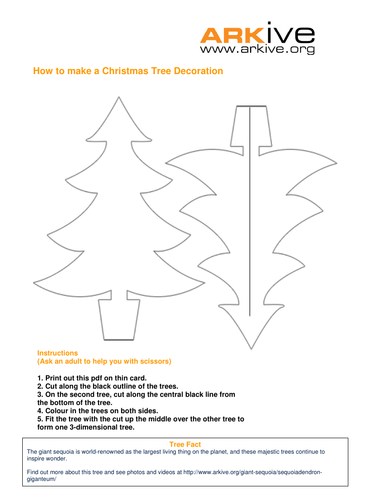 Make your own ARKive Christmas Decorations!